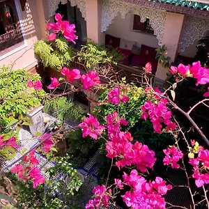 *** Riad Toyour- Of Birds Marokko